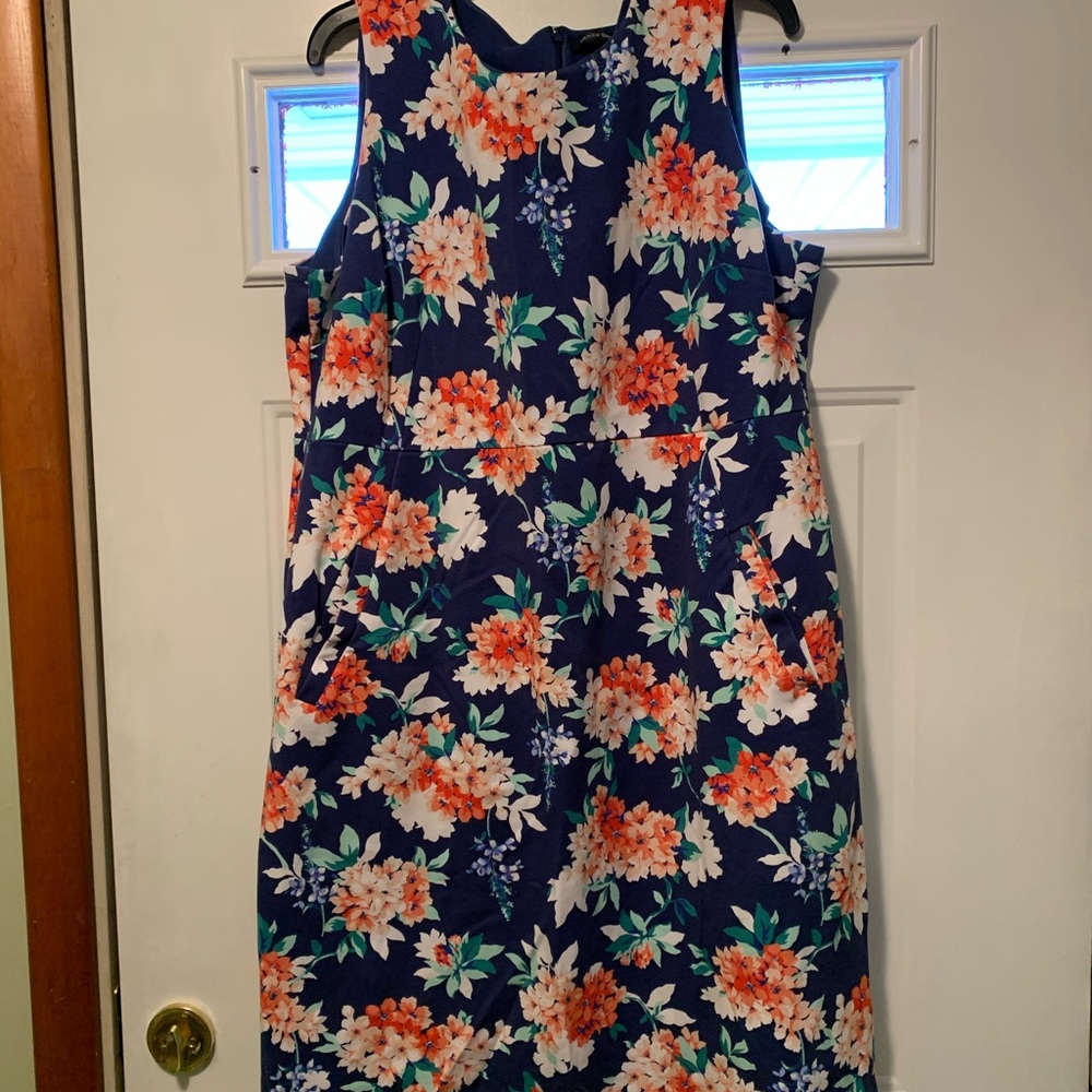 18W Lands End Floral Dress with Pockets